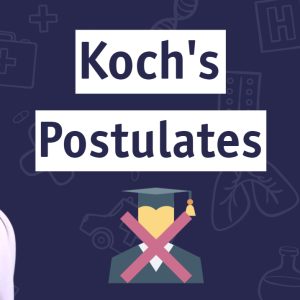 kochs-post-thumb-2