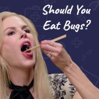 Should You Eat Bugs?