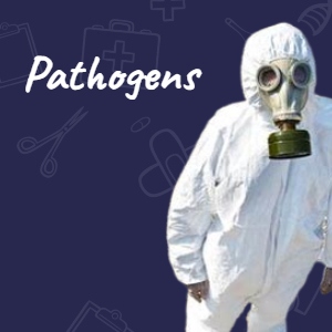 Why Pathogens Don't Exist
