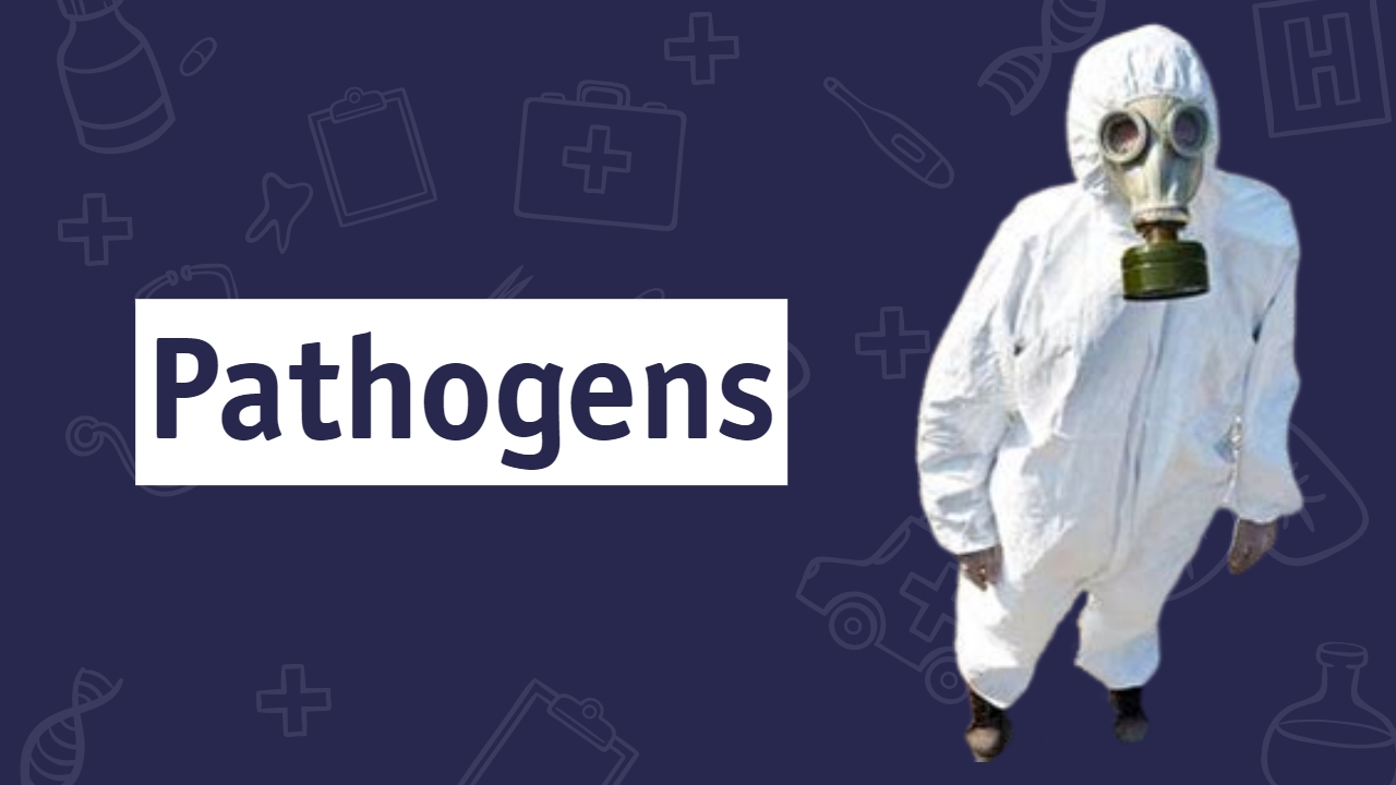 Why Pathogens Don’t Exist