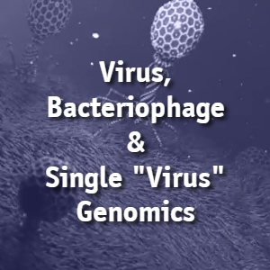 Virus, Bacteriophage & Single Virus Genomics